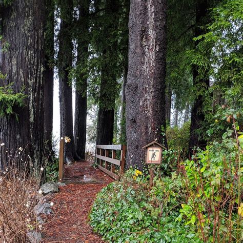 Tell us - what is your favorite hiking trail in the Lake Quinault Lodge area? . . . # ...