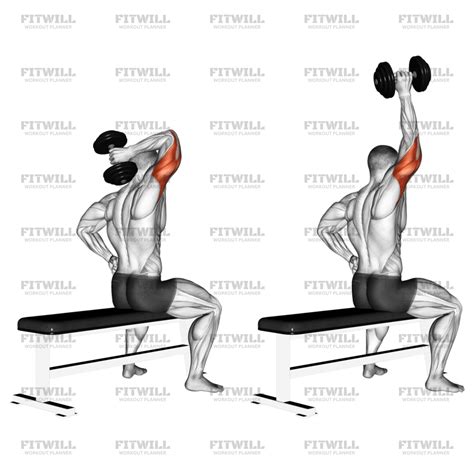 Dumbbell One Arm Triceps Extension L Exercise Guide Video