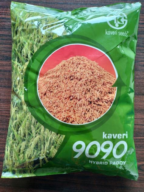 Yellow Kaveri 9090 Hybrid Paddy Seeds For Agriculture Packaging Size