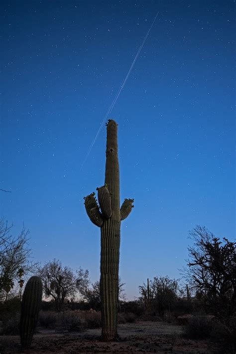 qué es esto Los satélites Starlink de SpaceX explicados espacio