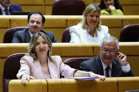 El PP Registra Su Propuesta Para Que El Senado Exija Al Congreso Que