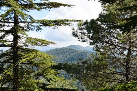 Premium Photo Views To Troodos Mountains From The Top In Cyprusgreen