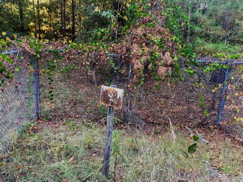 What The Fuck Moody R Airforce