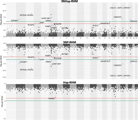 Frontiers Snp And Haplotype Regional Heritability Mapping Snhap Rhm Joint Mapping Of Common