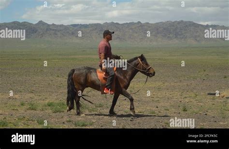 Mongolian horse rider Stock Videos & Footage - HD and 4K Video Clips - Alamy