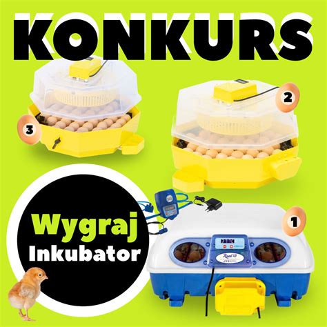 Inkubator lęgowy iBator HOME 60 z wyświetlaczem i tacą półautomatyczną