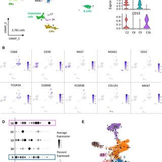 Deciphering The Cellular Ecosystem Of The Th Mycn Mouse Neuroblastoma