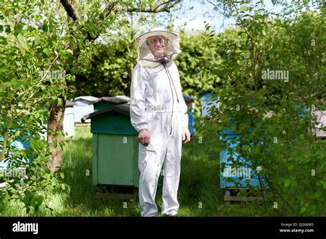 Old Beekeeper Standing Next To Artificial Bee Hives Stock Photo Alamy