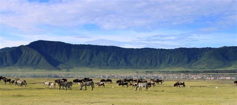 Ngorongoro Crater Wallpaper