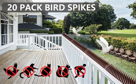 Bird Spikes 20 Packs Bird Deterrent Raccoon And Squirrel