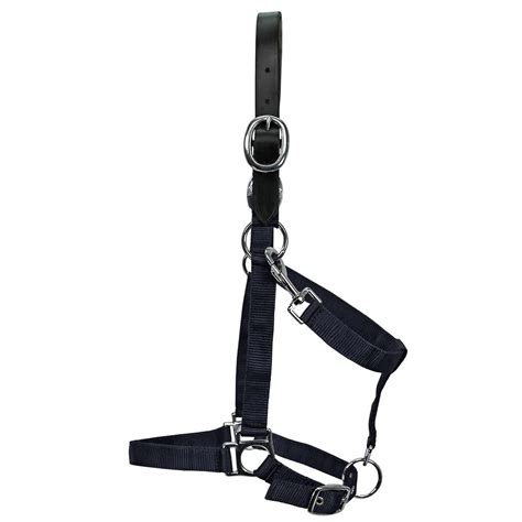Explore The Top Online Shops For Country Pride Breakaway Nylon Halter