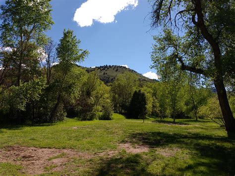 Grass And Trees With Hill In Background Photos Public Domain