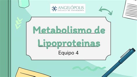 Metabolismo De Lipoprote Nas Ana Negrero Udocz