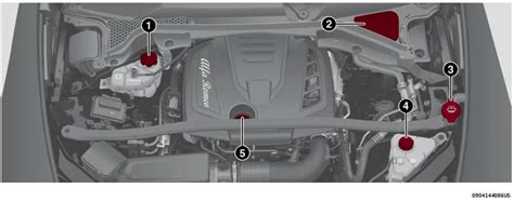 2019 Alfa Romeo Stelvio Engine Oil And Fluids User Guide Auto User Guide