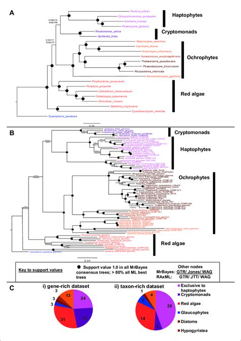 Non-ochrophyte origins of the haptophyte plastid genome. (Panels A and... | Download Scientific ...