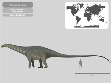 Perfil Apatosaurus Ajax By Paleohistoric On Deviantart