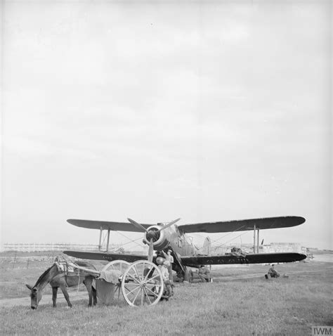 Asisbiz Fleet Air Arm Fairey Albacores Used To Bolster Maltas Defenses