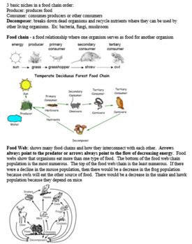 Living Environment Regents Questions Answers