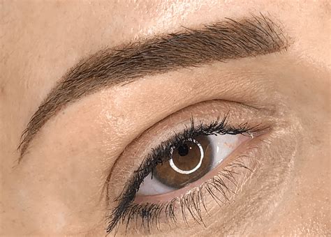 Powder Brows Ombré Training Bay Area 3d Brow Academy And Courses