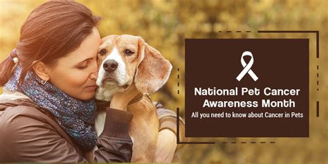 National Pet Cancer Awareness Month All You Need To Know About Cancer