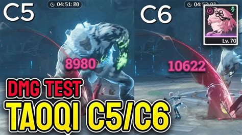 Taoqi C5 C6 DMG Test Support Build Wuthering Waves YouTube