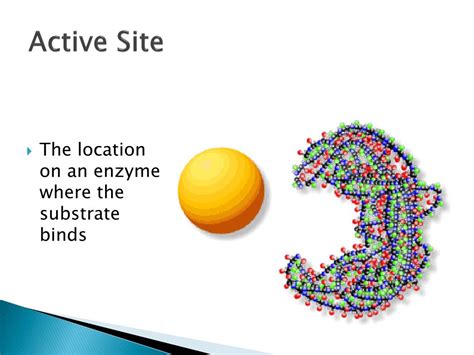 PPT - Enzymes PowerPoint Presentation, free download - ID:5247152