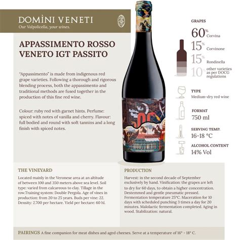 Domini Veneti Appassimento Rosso Veneto Igt Food Drinks