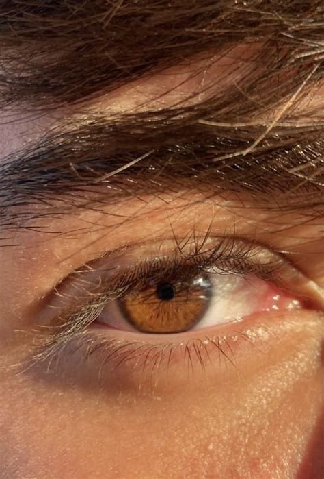 Brown Eyes Aesthetic Pretty Brown Eyes Butterfly Eyes Color Caramelo