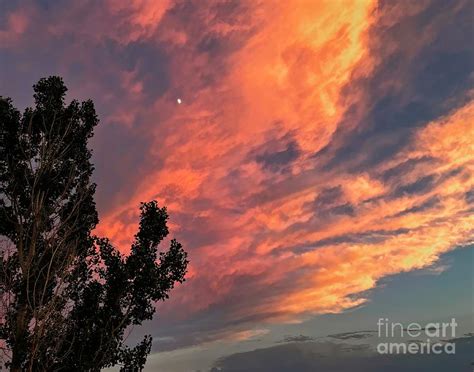 Glory Of God Photograph By Linda Carol Case Fine Art America