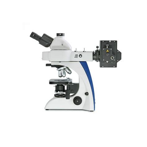 Simplemente Compra Microscopio De Fluorescencia Obn 147 Hoffmann Group