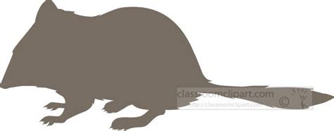 Silhouettes Clipart Crest Tailed Marsupial Mouse Silhouette Clipart