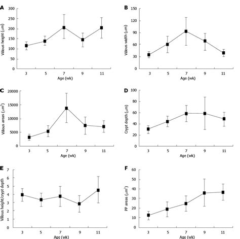 Figure 2 From Morphology And Ontogeny Of Dendritic Cells In Rats At