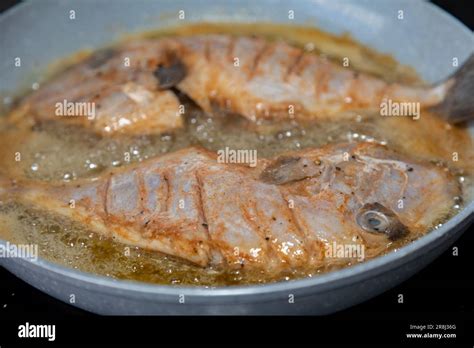 Pescado Peroá limpio y sazonado Balistes capriscus Pescado típico de