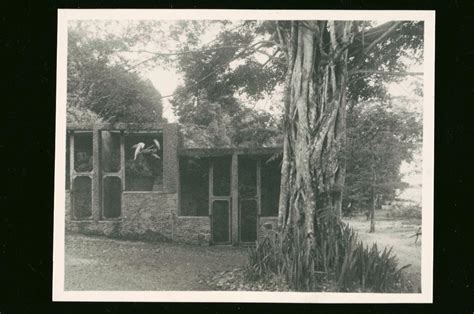 Caged Birds On The Grounds Of The Istana Besar At Johor Bahru