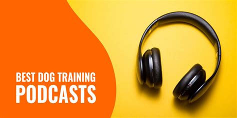 10 Best Dog Training Podcasts Our Reviews And Recommendations