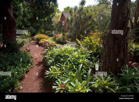 Allerton Gardens Kauai Hawaii Stock Photo Alamy