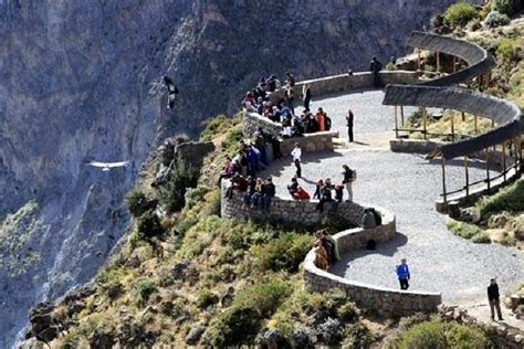 Full Day Tour To Colca Canyon From Arequipa Enjoy The Majestic Flight