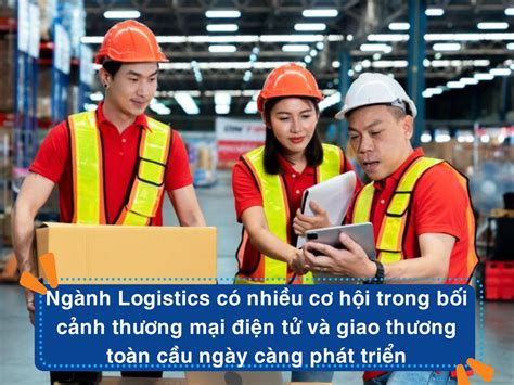 C C Ng Nh Hot Trong T Ng Lai Cho Nam Kh Ng S B O Th I Vinatrain Vi T Nam