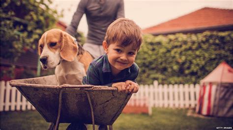 How Did Humans Create Dogs