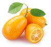 8 Great Kumquat Varieties