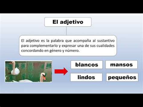 Palabras Que Acompa An Al Sustantivo Youtube