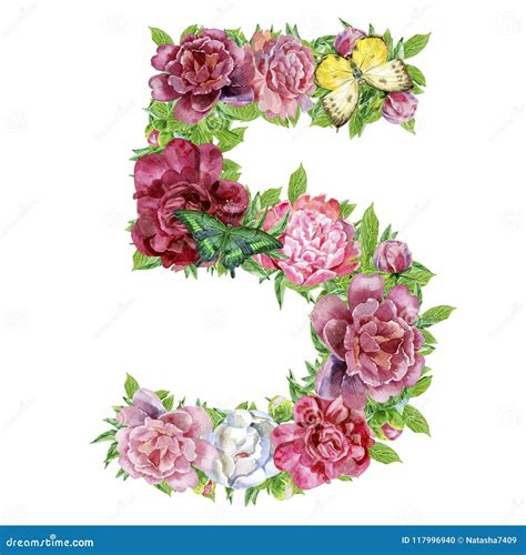 Number Five Of Watercolor Flowers Stock Illustration Illustration Of