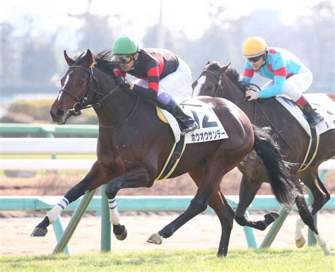 ＜中山5r 新馬戦＞新馬戦を制した武騎乗のホウオウサンデー （撮影・西川 祐介） ― スポニチ Sponichi Annex ギャンブル