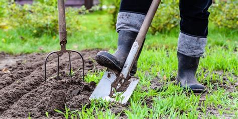 Comment commencer un jardin en permaculture Guide étape par étape