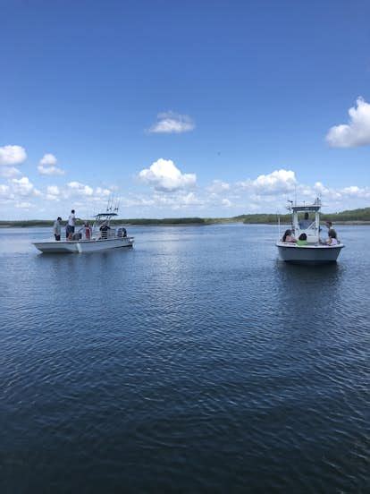 May River Excursions Daufuskie Island Tours Bluffton Sc