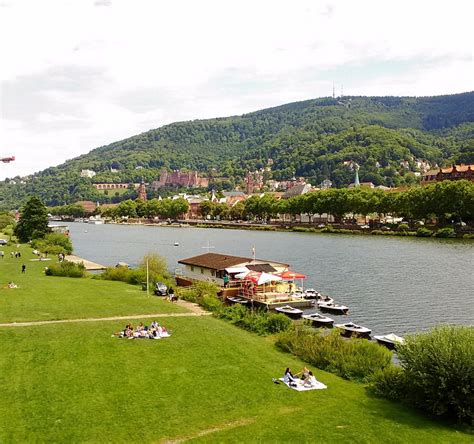 Neckarwiese Heidelberg Alles Wat U Moet Weten Voordat Je Gaat Met