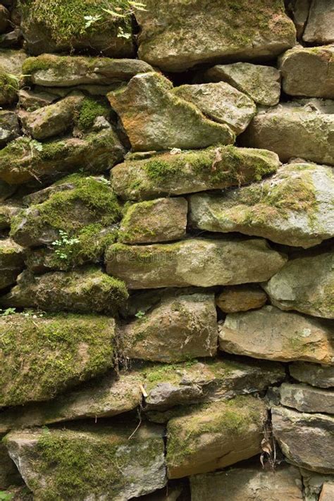 Pared De Las Piedras Viejas Que Crecieron Como Musgo Imagen De Archivo