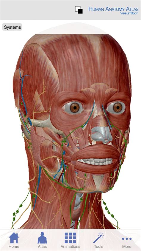 Visible Body Human Anatomy Atlas Iphone And Ipad Medical App Review