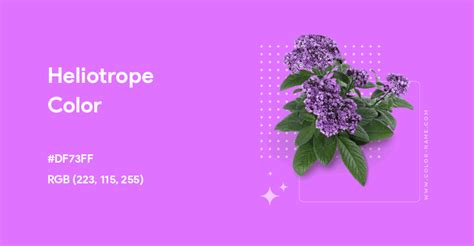 Heliotrope color hex code is #DF73FF