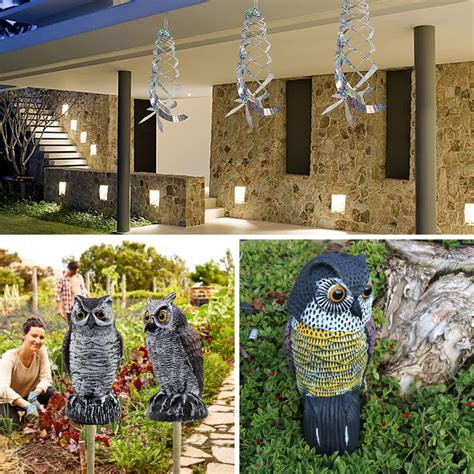 Keep Birds Away With These Best Bird Deterrent!